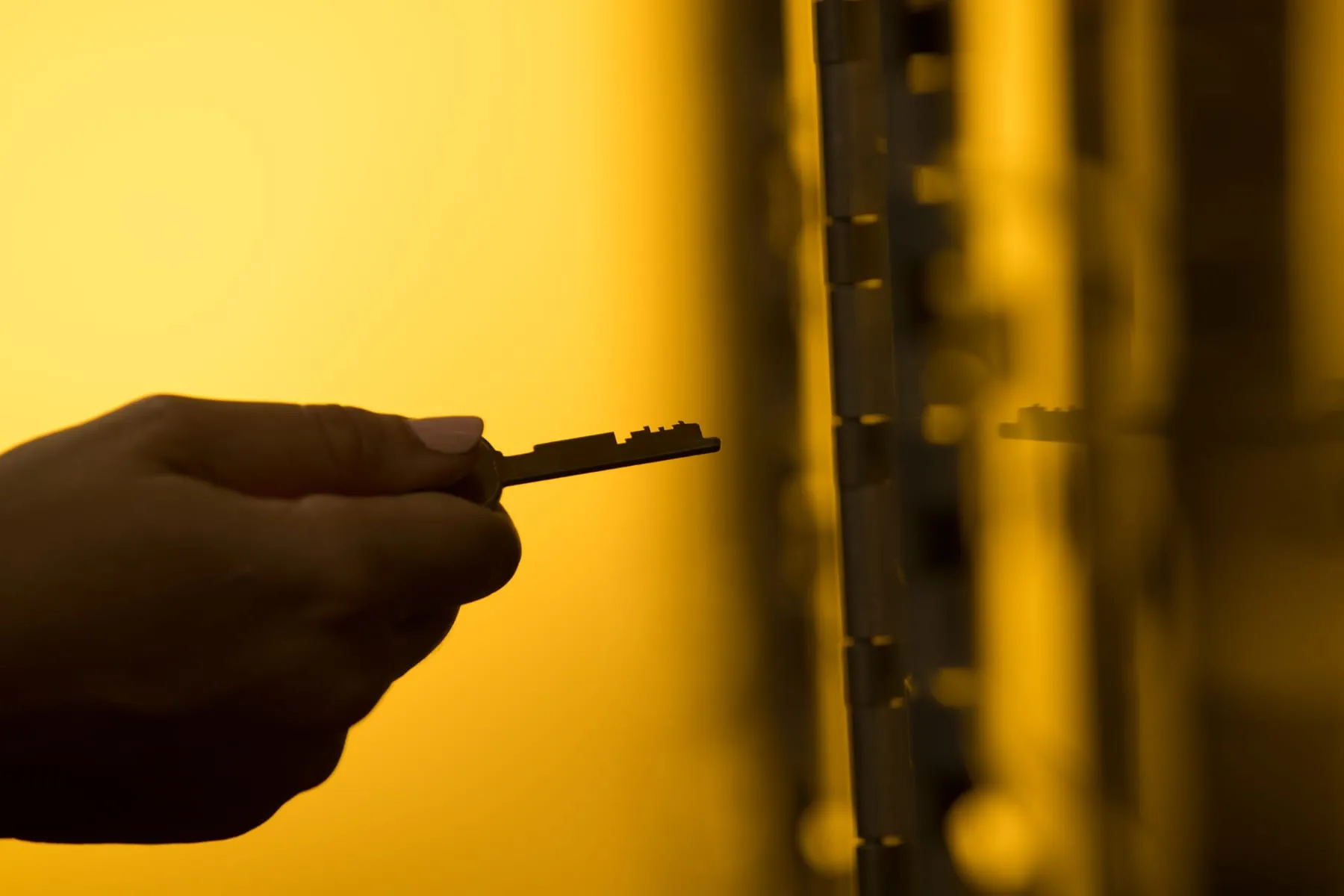 Silhouette of a key held before the Fortis Vaults deposit boxes